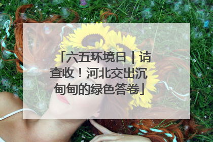 六五环境日｜请查收！河北交出沉甸甸的绿色答卷