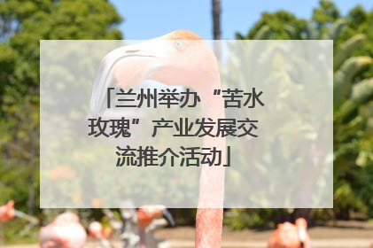 兰州举办“苦水玫瑰”产业发展交流推介活动