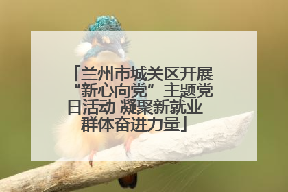 兰州市城关区开展“新心向党”主题党日活动 凝聚新就业群体奋进力量