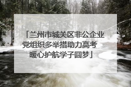 兰州市城关区非公企业党组织多举措助力高考 暖心护航学子圆梦