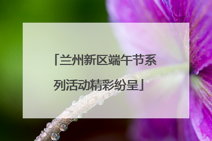 兰州新区端午节系列活动精彩纷呈
