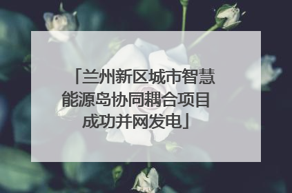 兰州新区城市智慧能源岛协同耦合项目成功并网发电
