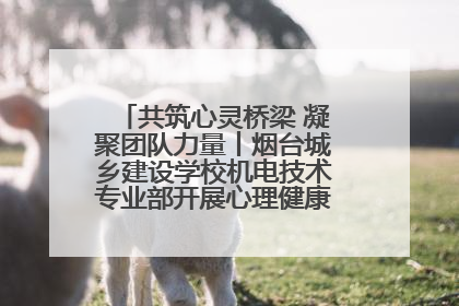 共筑心灵桥梁 凝聚团队力量丨烟台城乡建设学校机电技术专业部开展心理健康讲座及团辅活动