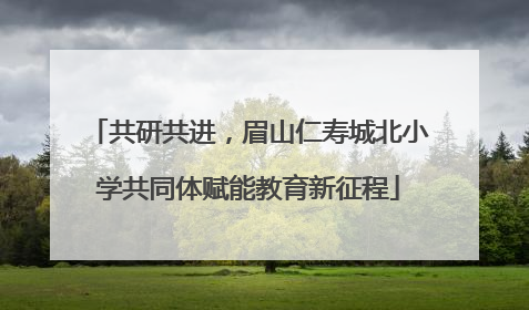 共研共进，眉山仁寿城北小学共同体赋能教育新征程