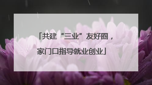 共建“三业”友好圈，家门口指导就业创业