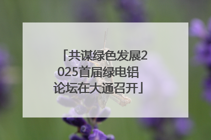 共谋绿色发展2025首届绿电铝论坛在大通召开