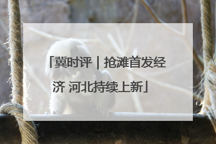 冀时评｜抢滩首发经济 河北持续上新