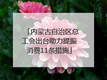 内蒙古自治区总工会出台助力提振消费11条措施