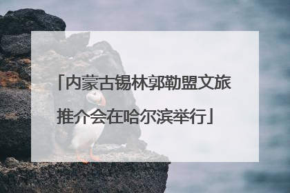 内蒙古锡林郭勒盟文旅推介会在哈尔滨举行