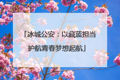冰城公安：以藏蓝担当 护航青春梦想起航