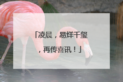 凌晨，易烊千玺，再传喜讯！