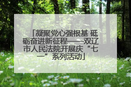 凝聚党心强根基 砥砺奋进新征程——双辽市人民法院开展庆“七一”系列活动