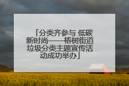 分类齐参与 低碳新时尚——椿树街道垃圾分类主题宣传活动成功举办