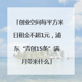 创业空间每平方米日租金不超1元，浦东“青创15条”满月带来什么