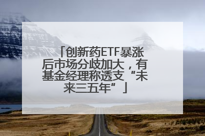 创新药ETF暴涨后市场分歧加大，有基金经理称透支“未来三五年”