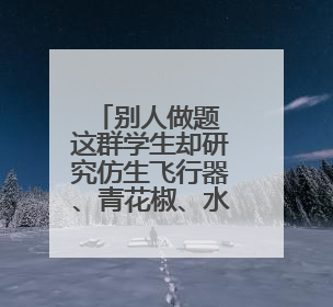 别人做题 这群学生却研究仿生飞行器、青花椒、水火箭