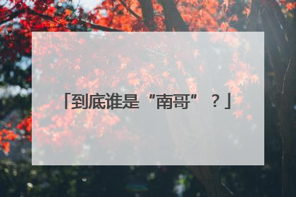 到底谁是“南哥”？