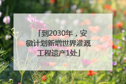 到2030年，安徽计划新增世界灌溉工程遗产1处