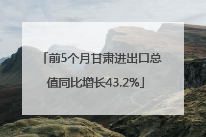 前5个月甘肃进出口总值同比增长43.2%