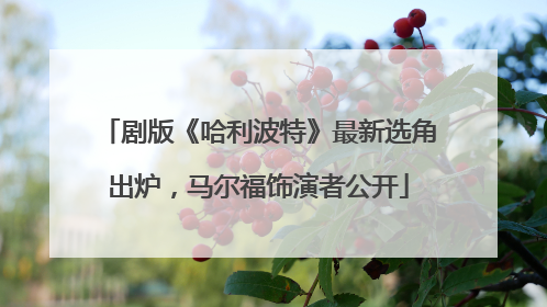 剧版《哈利波特》最新选角出炉，马尔福饰演者公开