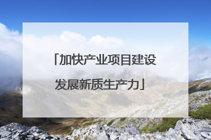 加快产业项目建设 发展新质生产力