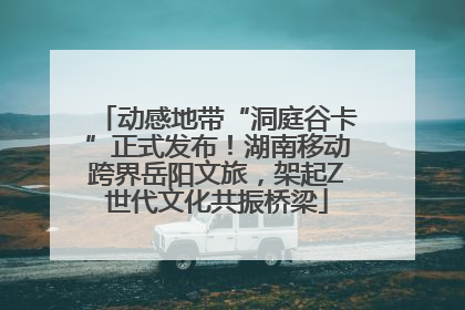 动感地带“洞庭谷卡”正式发布！湖南移动跨界岳阳文旅，架起Z世代文化共振桥梁