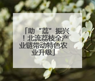 助“荔”振兴！北流荔枝全产业链带动特色农业升级