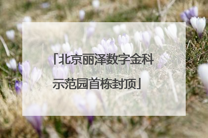 北京丽泽数字金科示范园首栋封顶