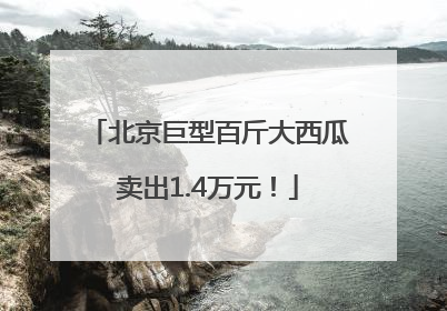 北京巨型百斤大西瓜卖出1.4万元！