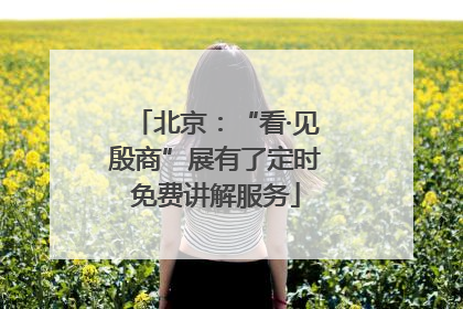 北京：“看·见殷商”展有了定时免费讲解服务