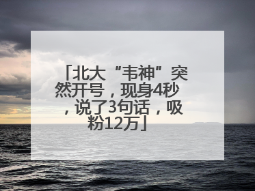 北大“韦神”突然开号，现身4秒，说了3句话，吸粉12万