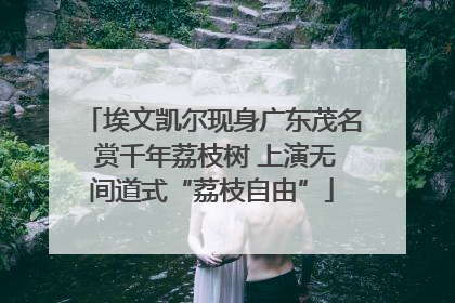 埃文凯尔现身广东茂名 赏千年荔枝树 上演无间道式“荔枝自由”