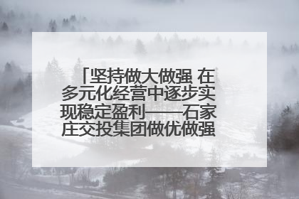 坚持做大做强 在多元化经营中逐步实现稳定盈利——石家庄交投集团做优做强典型报道之三