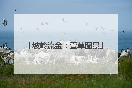 坡岭流金：萱草图景