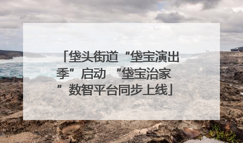 垡头街道“垡宝演出季”启动 “垡宝治家”数智平台同步上线