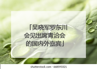 吴晓军罗东川会见出席青洽会的国内外嘉宾