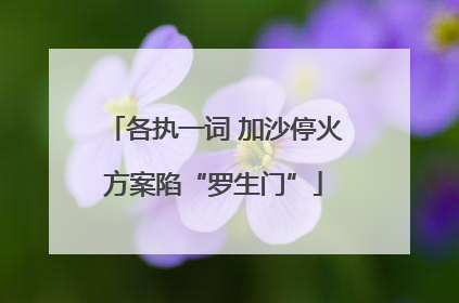 各执一词 加沙停火方案陷“罗生门”