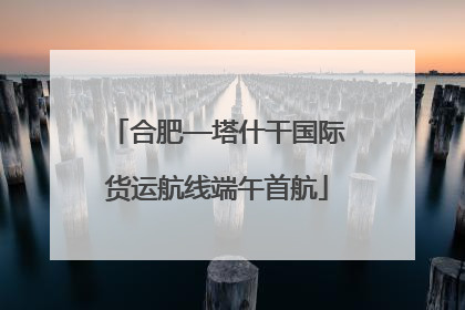 合肥—塔什干国际货运航线端午首航