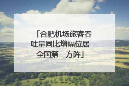 合肥机场旅客吞吐量同比增幅位居全国第一方阵