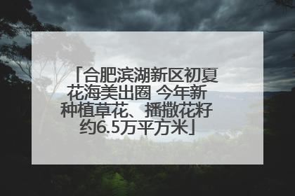 合肥滨湖新区初夏花海美出圈 今年新种植草花、播撒花籽约6.5万平方米