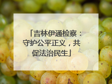 吉林伊通检察：守护公平正义，共促法治民生