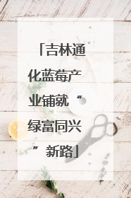吉林通化蓝莓产业铺就“绿富同兴”新路