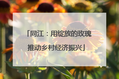 同江：用绽放的玫瑰 推动乡村经济振兴