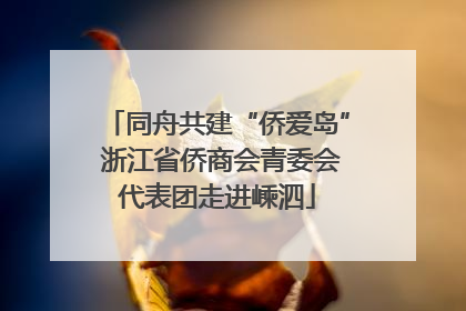 同舟共建“侨爱岛” 浙江省侨商会青委会代表团走进嵊泗