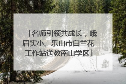 名师引领共成长，峨眉实小、乐山市白兰花工作站送教南山学区