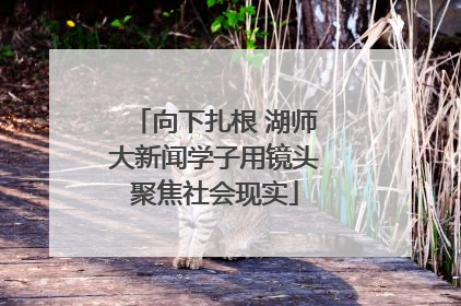 向下扎根 湖师大新闻学子用镜头聚焦社会现实