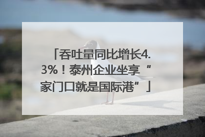 吞吐量同比增长4.3%！泰州企业坐享“家门口就是国际港”
