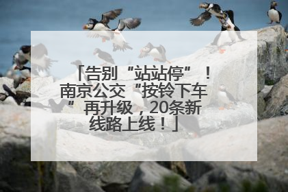 告别“站站停”！南京公交“按铃下车”再升级，20条新线路上线！