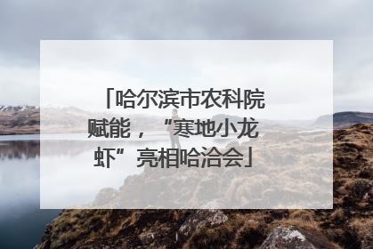 哈尔滨市农科院赋能，“寒地小龙虾”亮相哈洽会