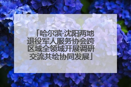 哈尔滨·沈阳两地退役军人服务协会跨区域全领域开展调研交流共绘协同发展